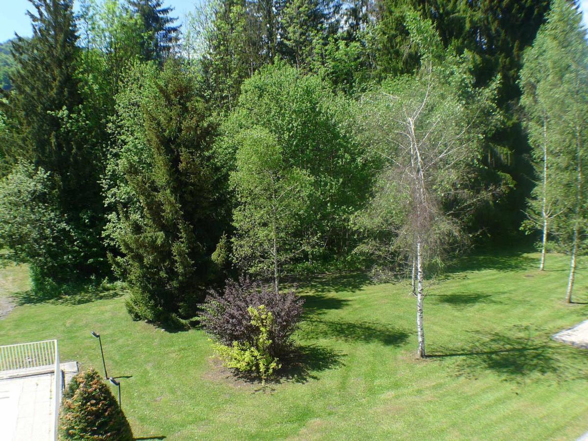 Studio Mansarde Avec Balcon, Piscine Et Parking Souterrain A Samoens - Fr-1-629-92 Εξωτερικό φωτογραφία